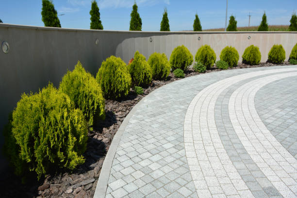  Clayton, NM Driveway Pavers Pros