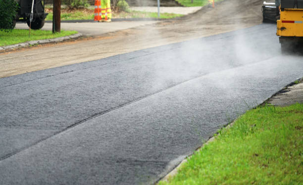Best Paver Driveway Replacement  in Clayton, NM