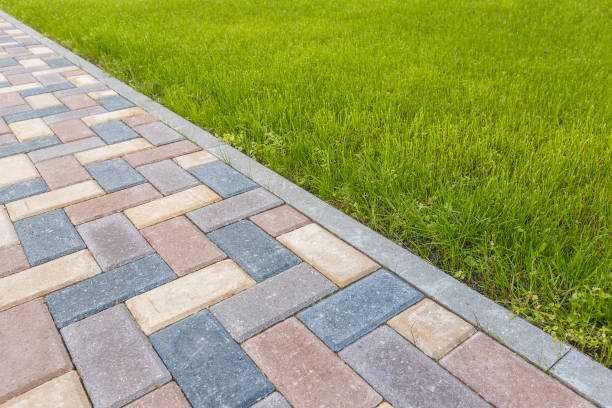 Best Permeable Paver Driveway  in Clayton, NM